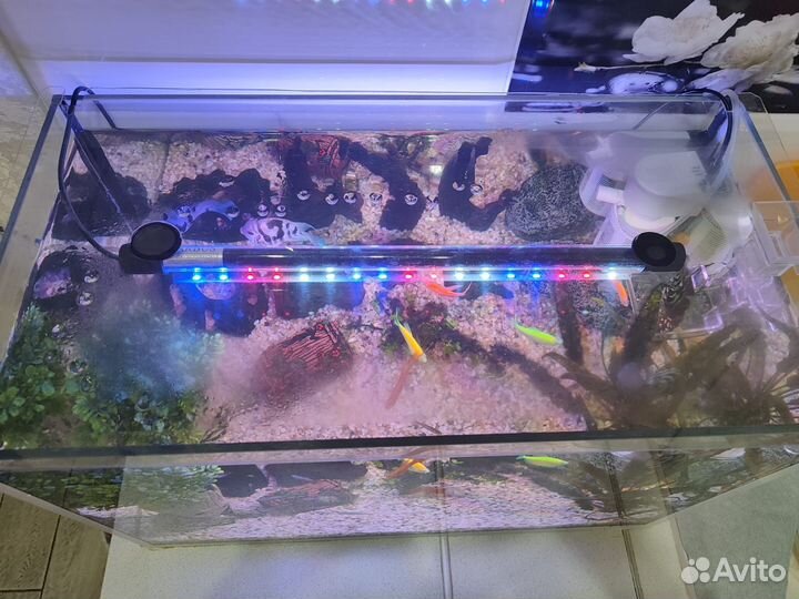 Аквариум с рыбками, 75 литров