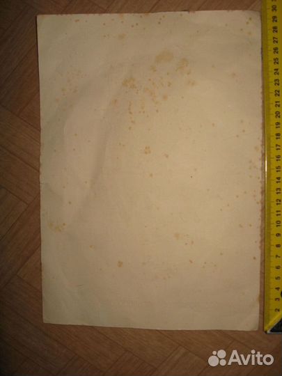 Грамота 1923 год Германия Мюнхен