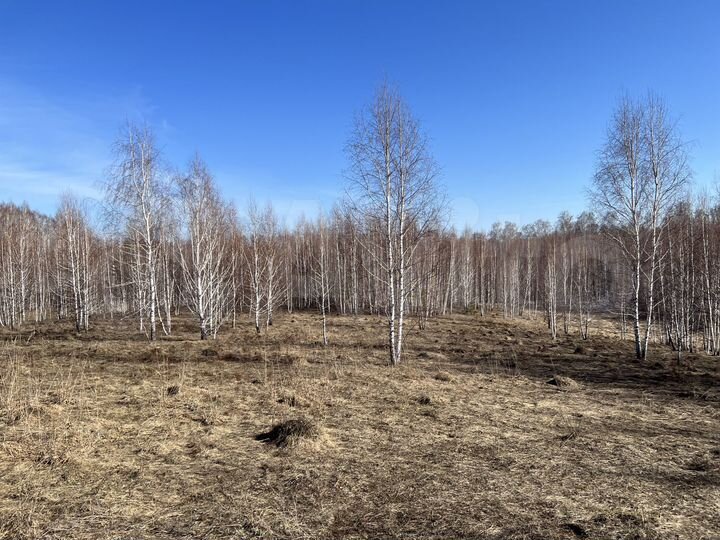 Участок 13,61 га (СНТ, ДНП)