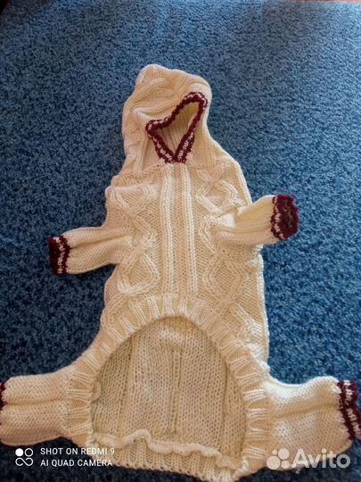 Одежда для собак