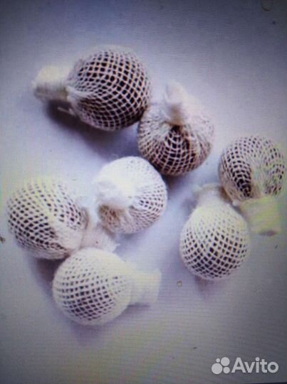 Китайские фито тампоны clean point