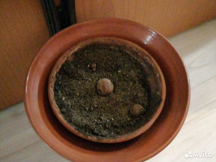 Горшок под цветы с кованой подставкой подвесные