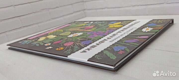 Е.Благинина Травушка-муравушка 2017