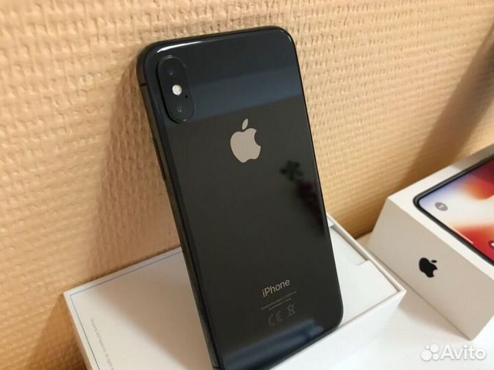 iPhone 10 256