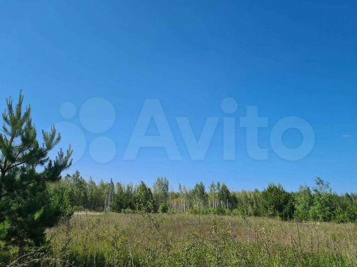 Участок 31,5 сот. (ИЖС)
