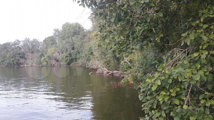 Участок 75 сот. (СНТ, ДНП)