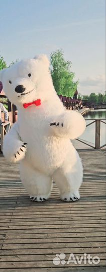 Белый мишка или чебурашка на ваш праздник