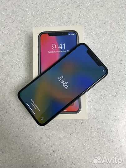 iPhone X, 256 ГБ