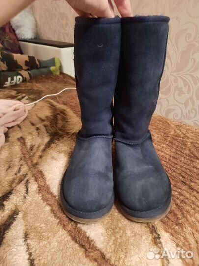 Ugg оригинал 36 размер