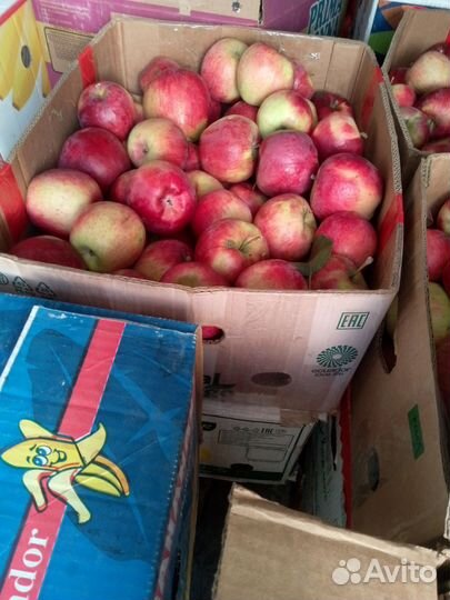 Яблоки