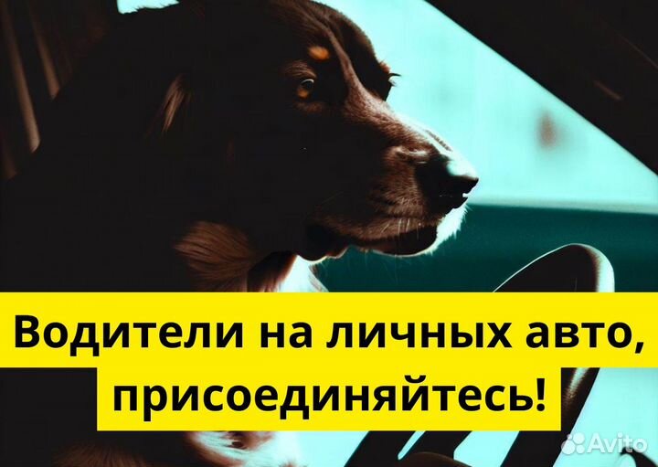 Присоединяйся к Яндекс Go на своем т/с