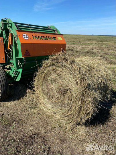 Сено в рулонах 2023