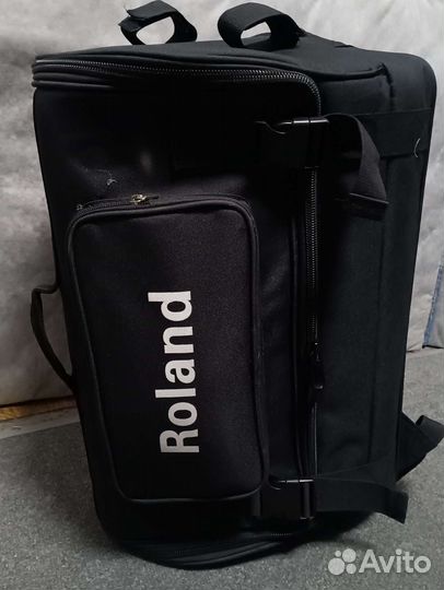 Roland cube street ex