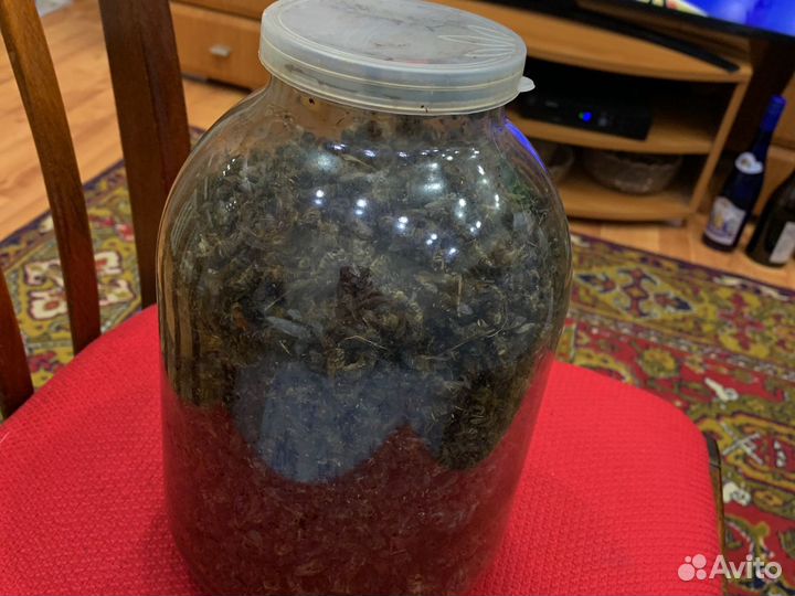 Зимний пчелиный подмор