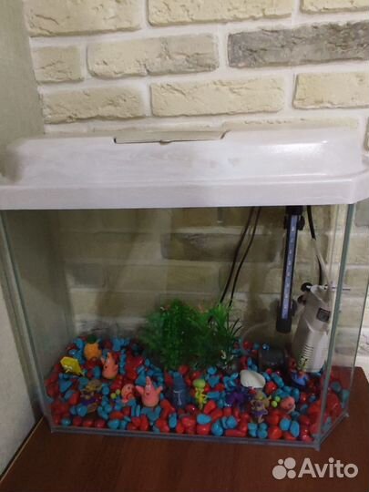 Аквариум