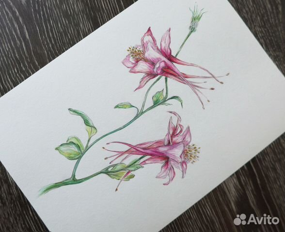 Картина / постер 