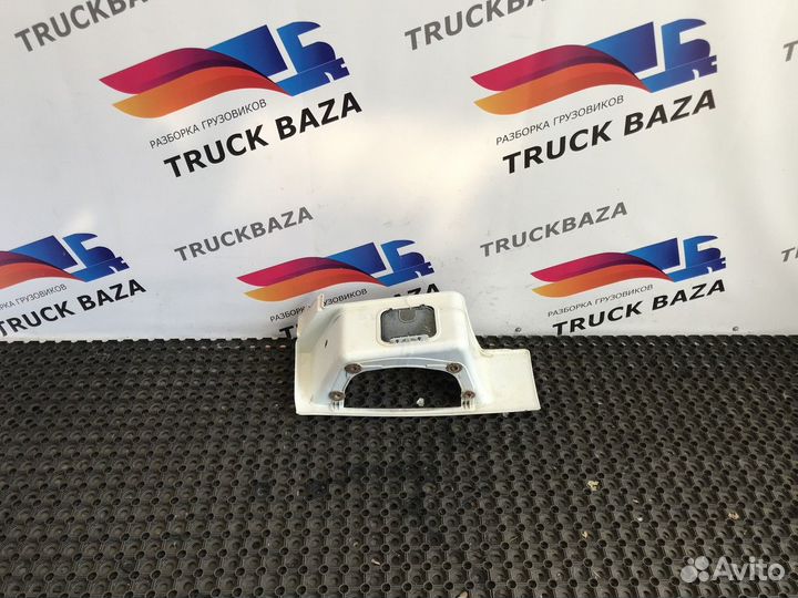 81615100644 Корпус подножки правой