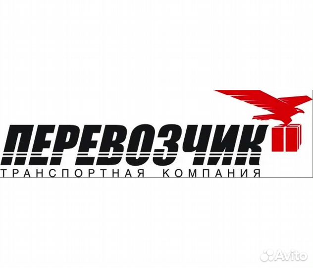 Водитель на легковом автомобиле