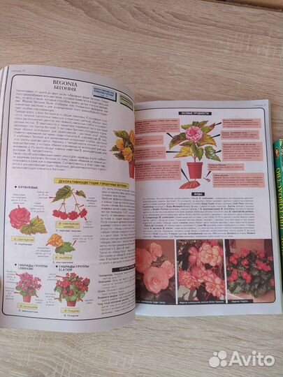 Книги о комнатных растениях