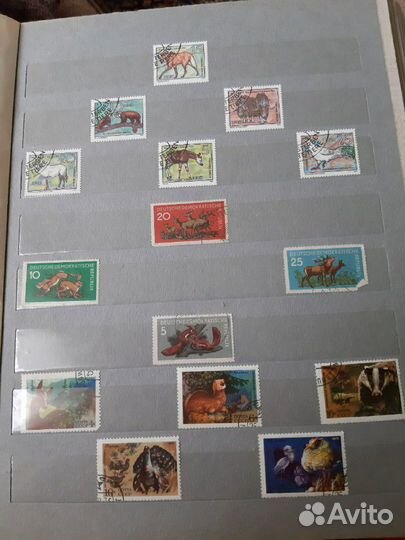 Коллекция почтовых марок