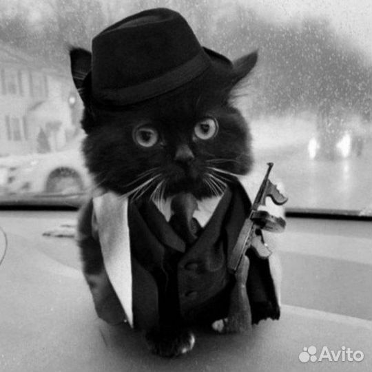 Тгк на 900 сабов