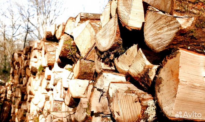 Дрова 40 см