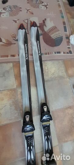 Горные лыжи