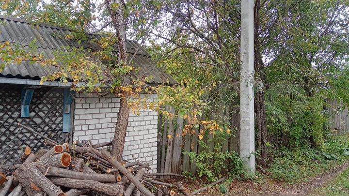 Участок 6 сот. (СНТ, ДНП)