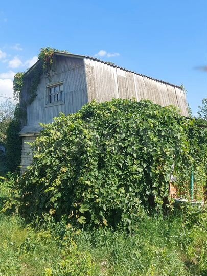 Дача 65 м² на участке 9 сот.