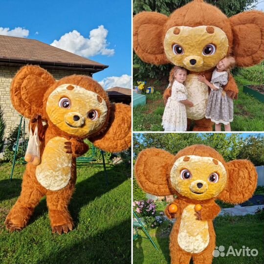 Медведь ростовой. Чебурашка
