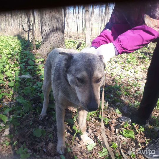 Годовалый Джек-Пот