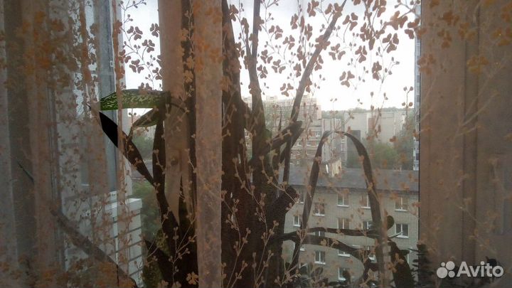 Тюль двойная