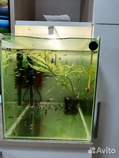 Продам аквариумы