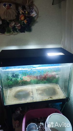 Аквариум с подсветкой и тумбой