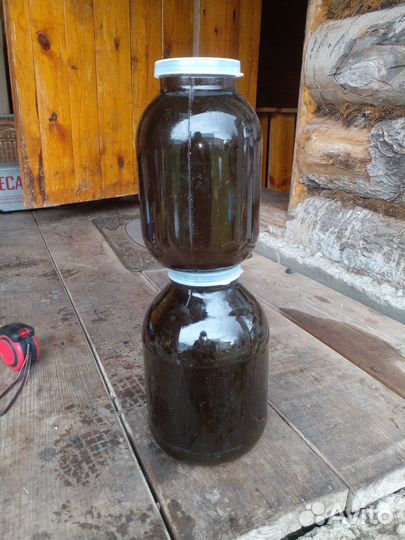 Мед гречишный 2023