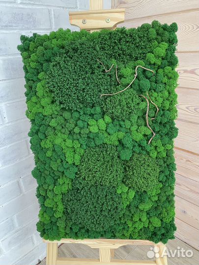 Панели из стабилизированного мха