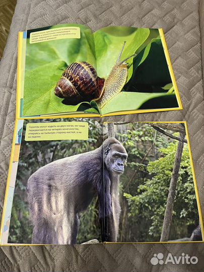 Новые книги 