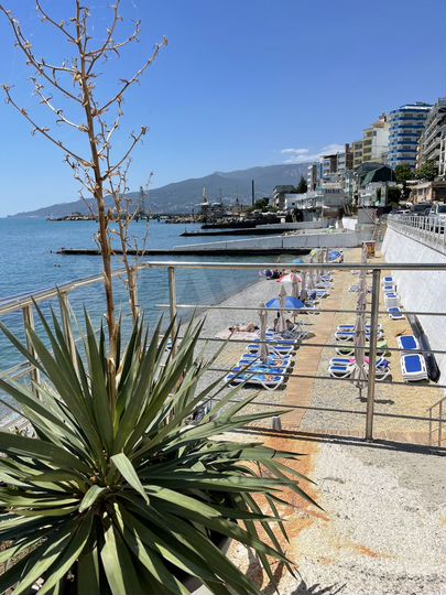 1-к. апартаменты, 25 м², 2/7 эт.