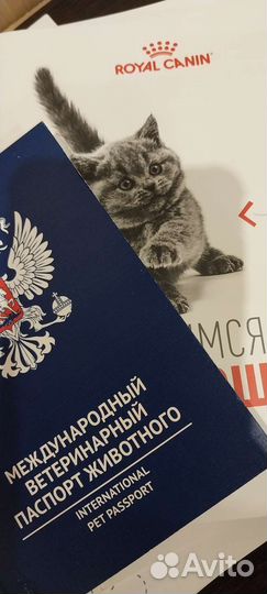 Экзотическая