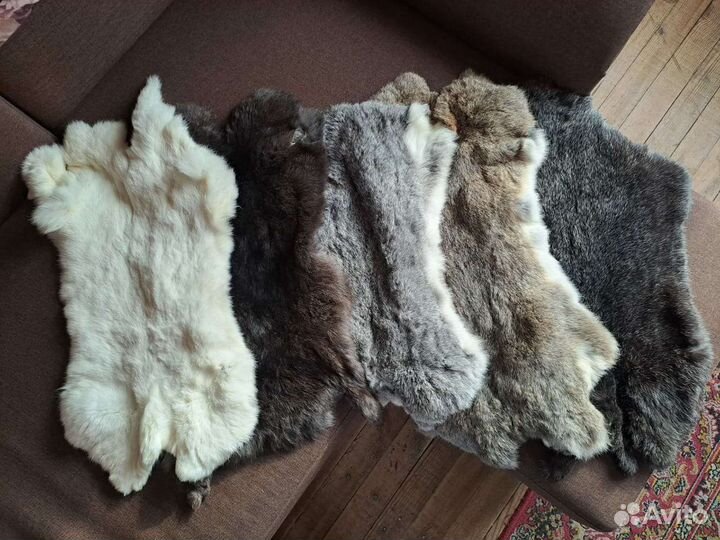 Шкурки кролика