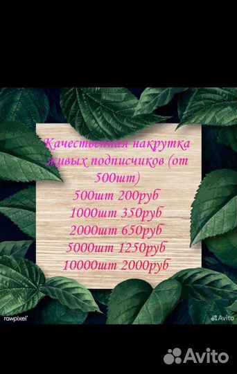 Накрутка подписчиков