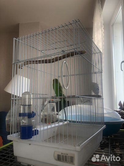 Передержка животных