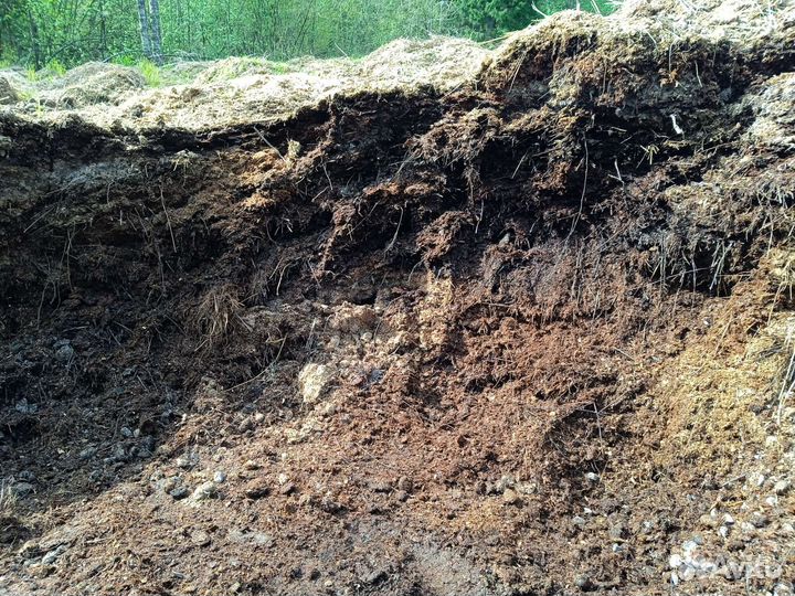 Конский навоз