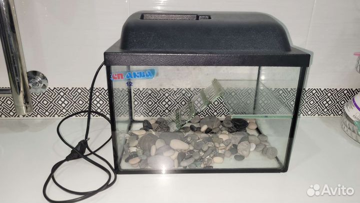 Аквариум террариум