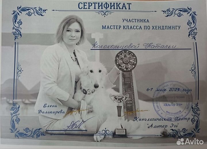 Услуги хендлера