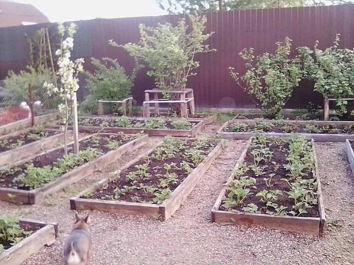 Таунхаус 1146 м² на участке 2 сот.