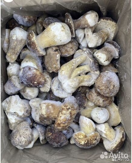Замороженные белые грибы