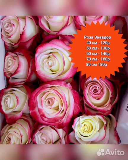Розы оптом
