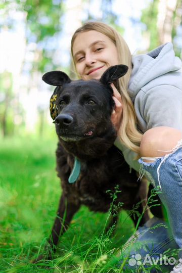 Спасите старичка из приюта