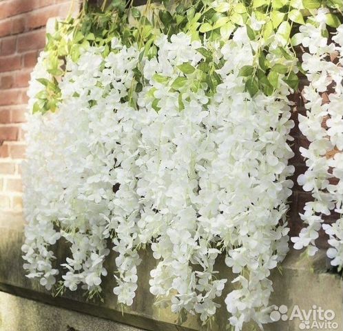 Глициния искусственная, на свадьбу купить в Москве | Товары для дома и ...